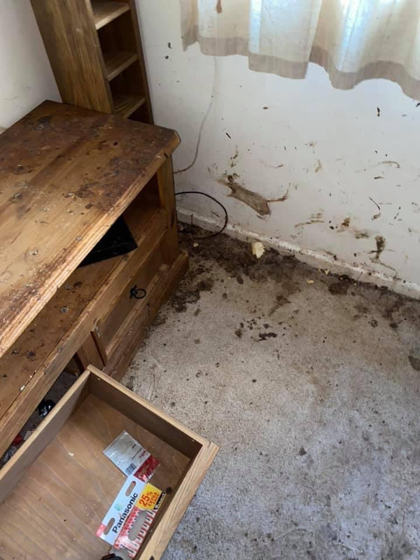 5DFC1C85-AF87-4B97-A492-F5E356E95DDE