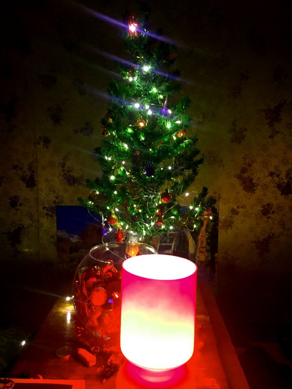 изображение_viber_2023-01-03_21-47-51-171