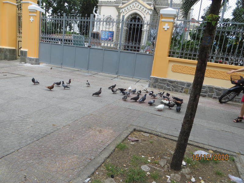 [Image: IMG_7452_resize.jpg]