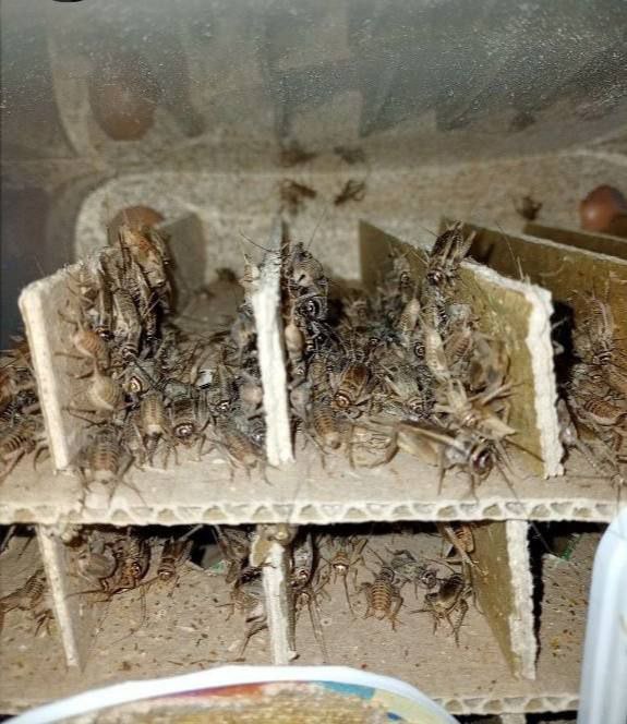 IMG_20220505_130428_634