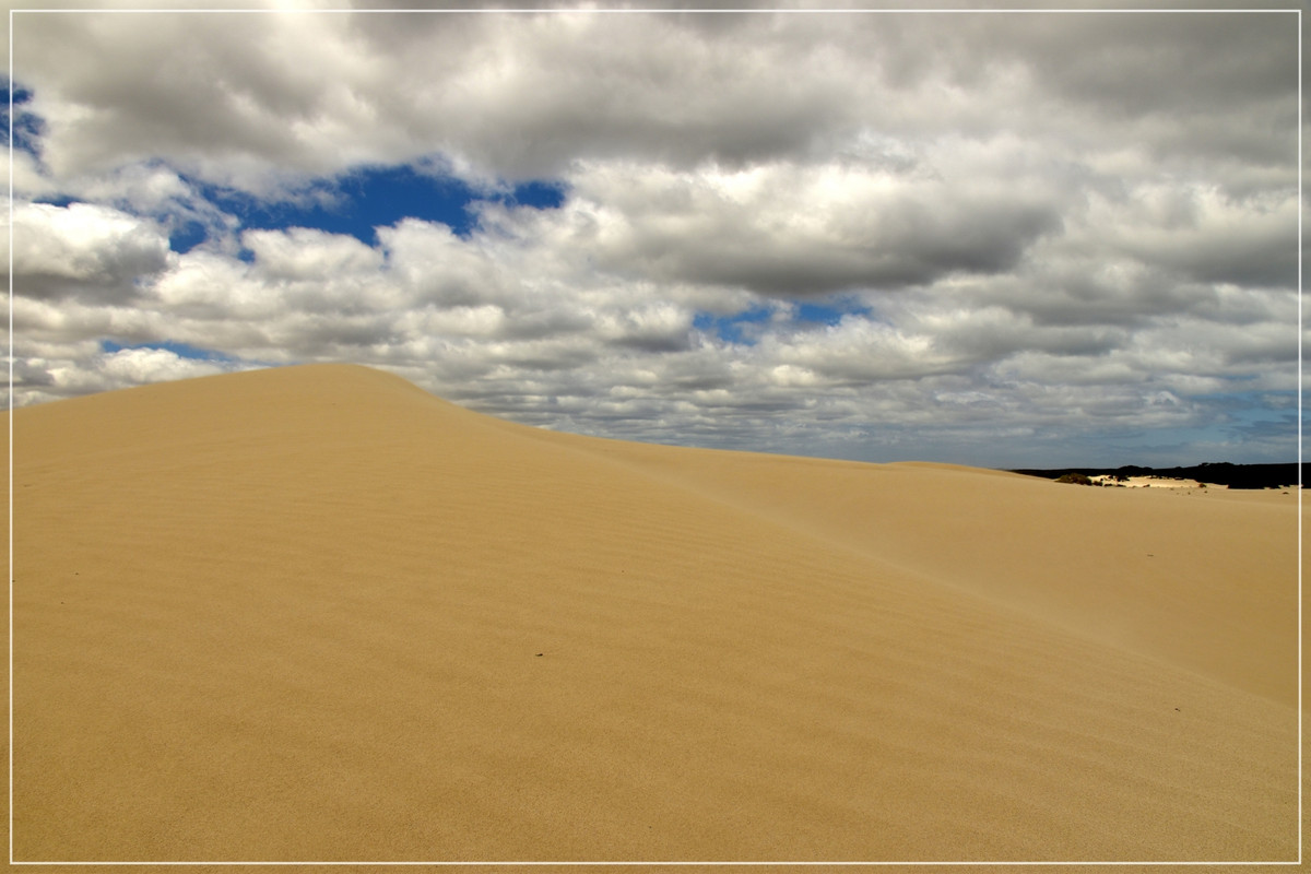 Australia (I): toma de contacto - Blogs de Australia - Kangaroo Island (4)