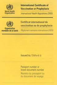 Vaccine passports were an entrenched reality when I first went to sea in the late 70's. If you didnt produce the yellow book showing the required vaccine entires with your passport you were not allowed ashore, and in some ports were liable to be carted off to a quarantine station.