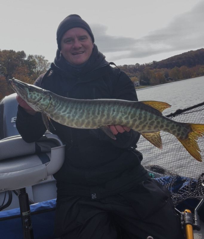 FC281262 B0F7 4E2E 8251 C67F40A01DCD