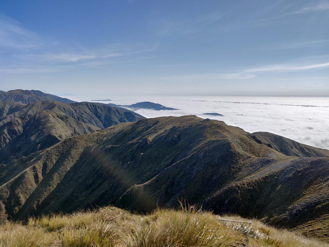 Mt Holdsworth - Jumbo loop Trekking en Isla Norte NZ - Foro Oceanía