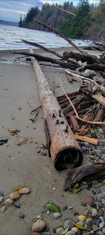 Screenshot_20211227-124511_Gallery