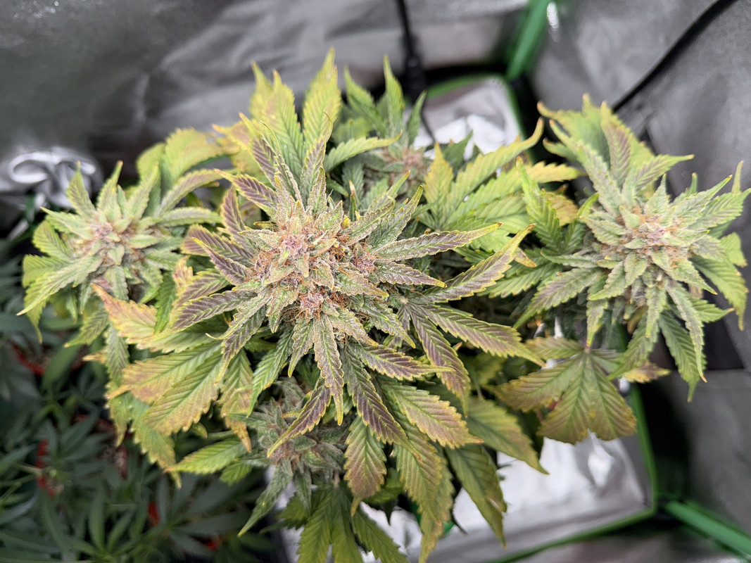 218C685F-ACBD-4573-8BEC-25BDBAF50290