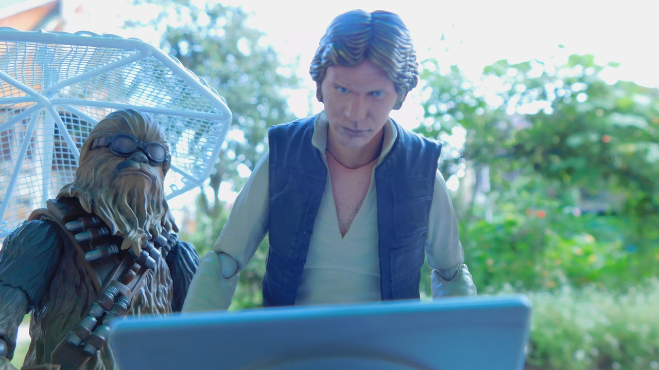 Дачно-барбейское июль, Харлинское 2-я серия 160