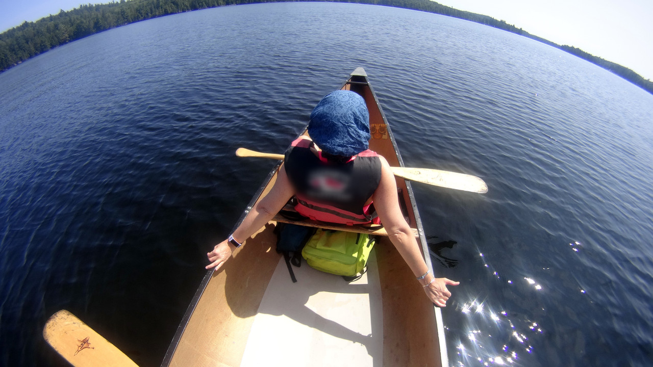 - HuntsVille y Algonquin Park - Cánada Este 2019 Julio/Agosto 22 dias. (22)