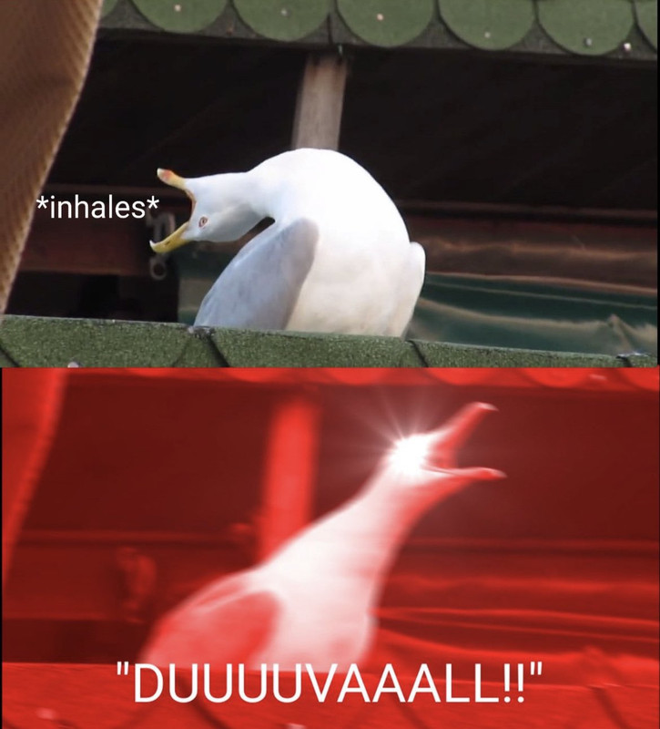 [Image: Fg6u-ZXb-XEAEFum-X-jpeg.jpg]