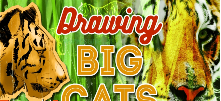 Drawing Big Cats   Everything You Need to Draw Lions and Tigers.oh my!