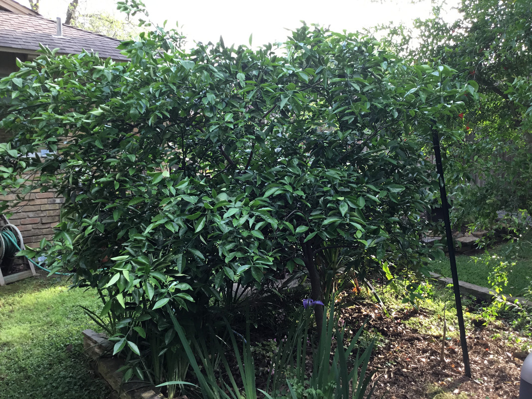 070D5ACB-B43A-4947-8636-2D49B1A779A5