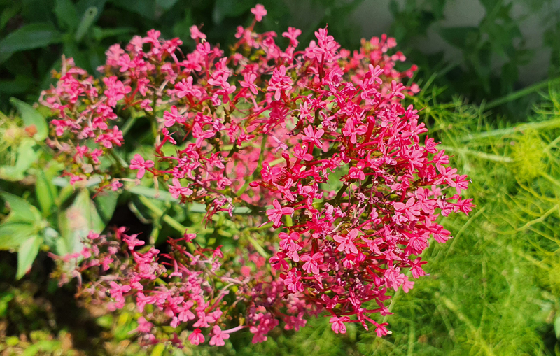 [Image: 20230606-143645.jpg]