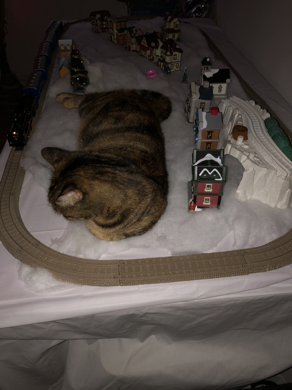 9EA9CEDD-110C-4DA3-B070-0B37708AE91D