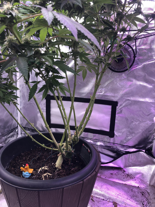 83A6111E-1571-4607-BE6F-40F0A329B049