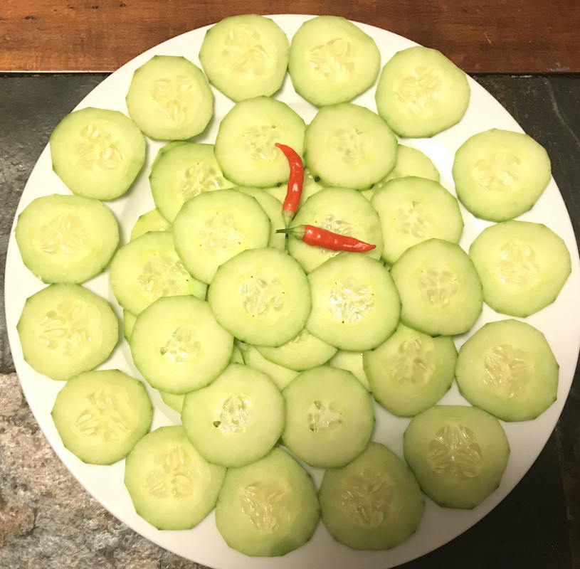 728ED203-2FA5-48DD-B795-8F861C892446