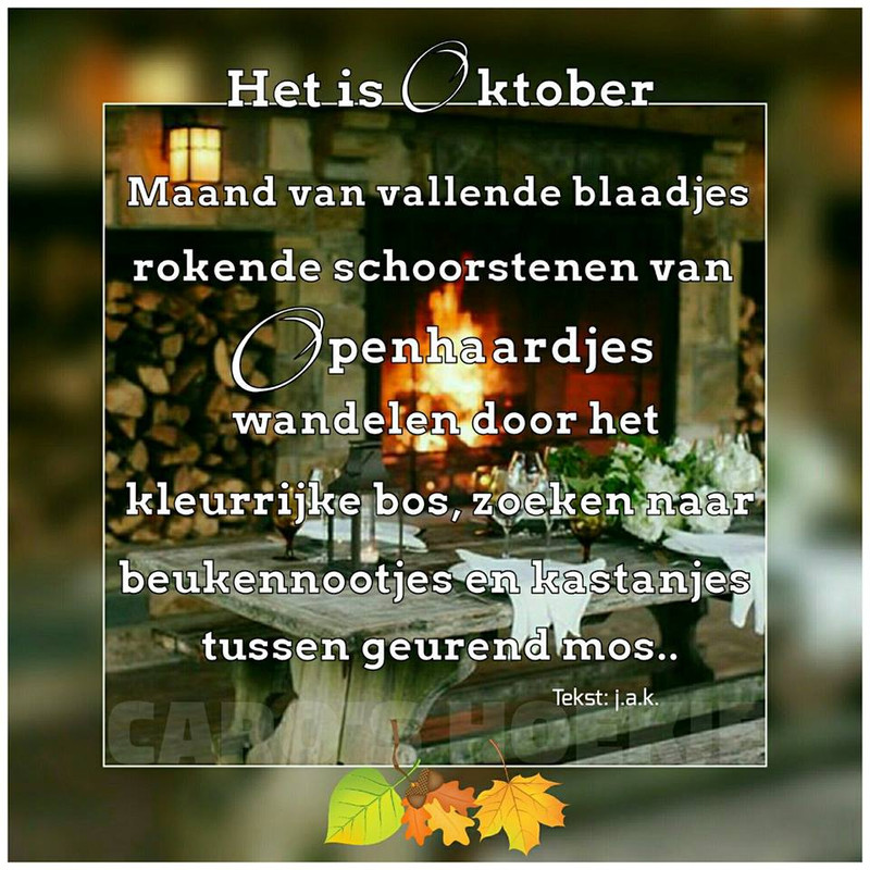 https://www.mupload.nl/ 