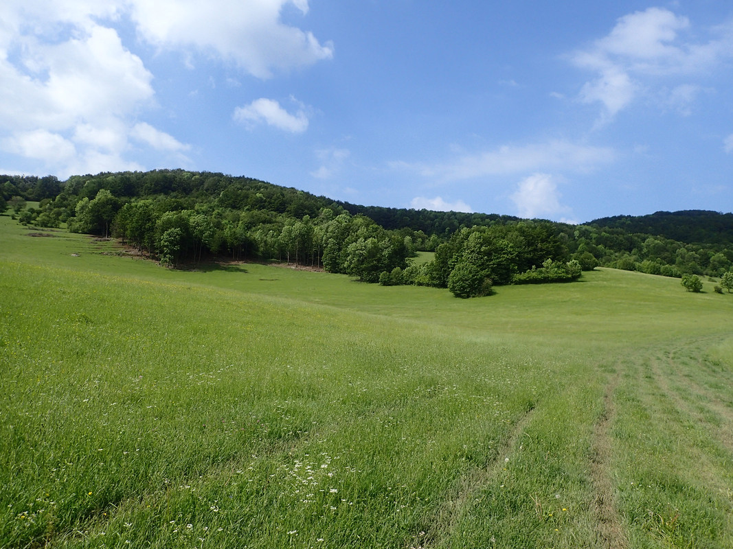 2019_0609G_STRAŻOWSKIE0033