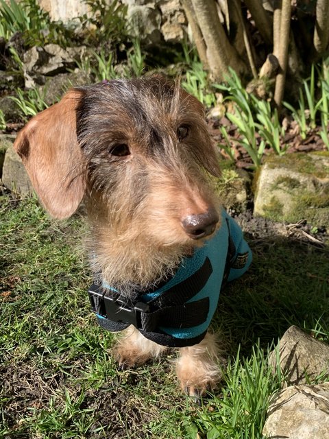 [Image: BF76-FEA7-E66-E-405-B-B1-E9-809-ED3-F5936-C.jpg]