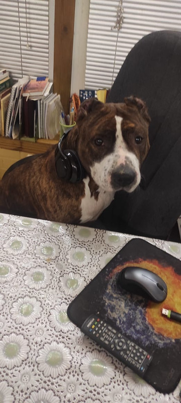 F9A7F5BC-359B-40A7-97A8-E014BA31B6D5