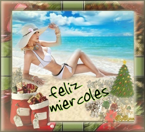 Navidad en la Playa Miercoles