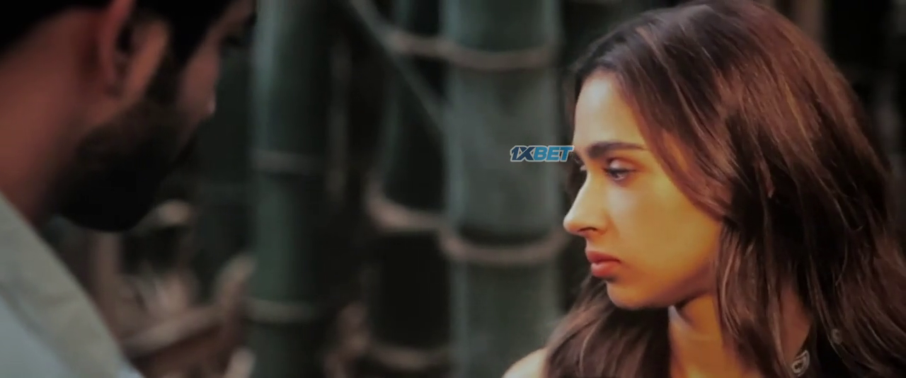 Ishq Vishk Rebound 2024 Hindi HDCam 