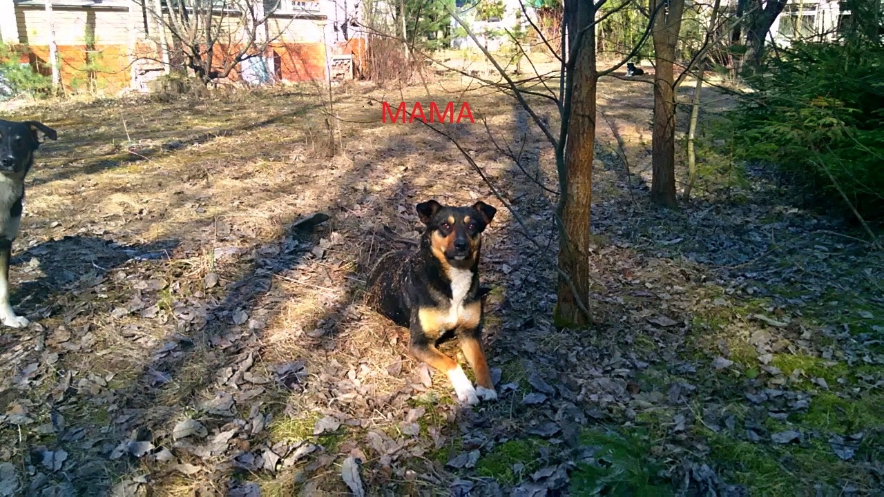 EF0D0CD2-B9E0-4F64-9FCE-0748D2637032