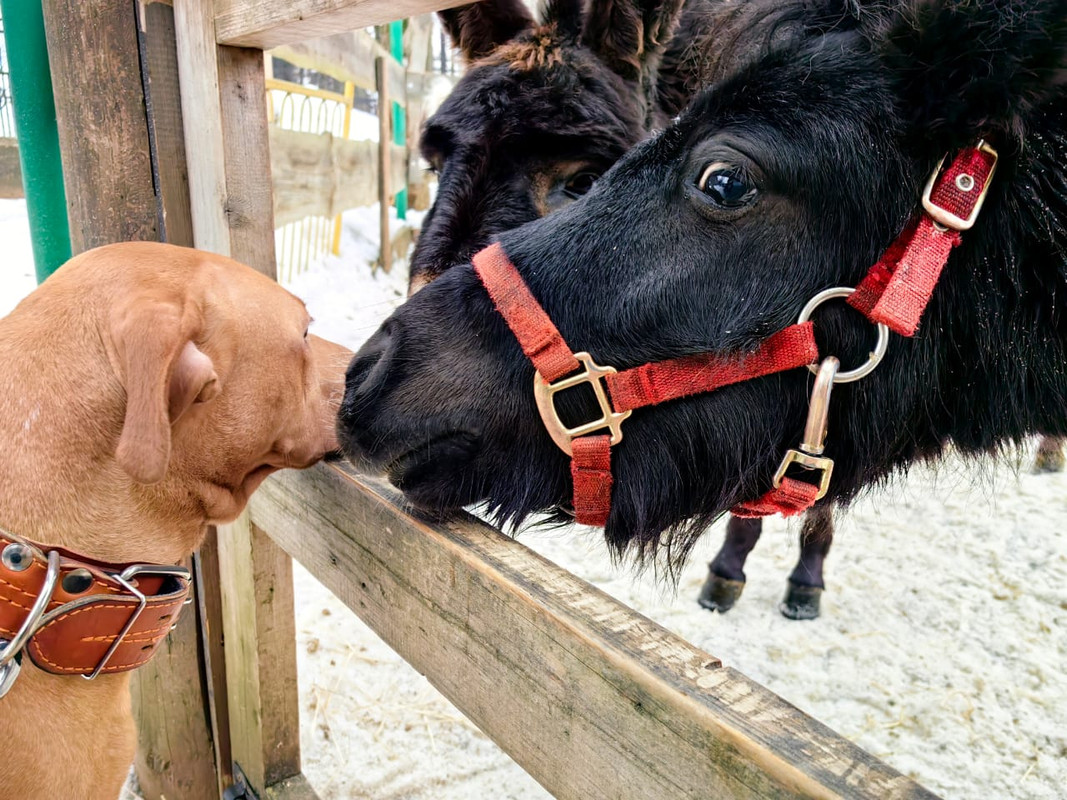 7ADDDCF0-0615-41A1-894B-7E0971E69630