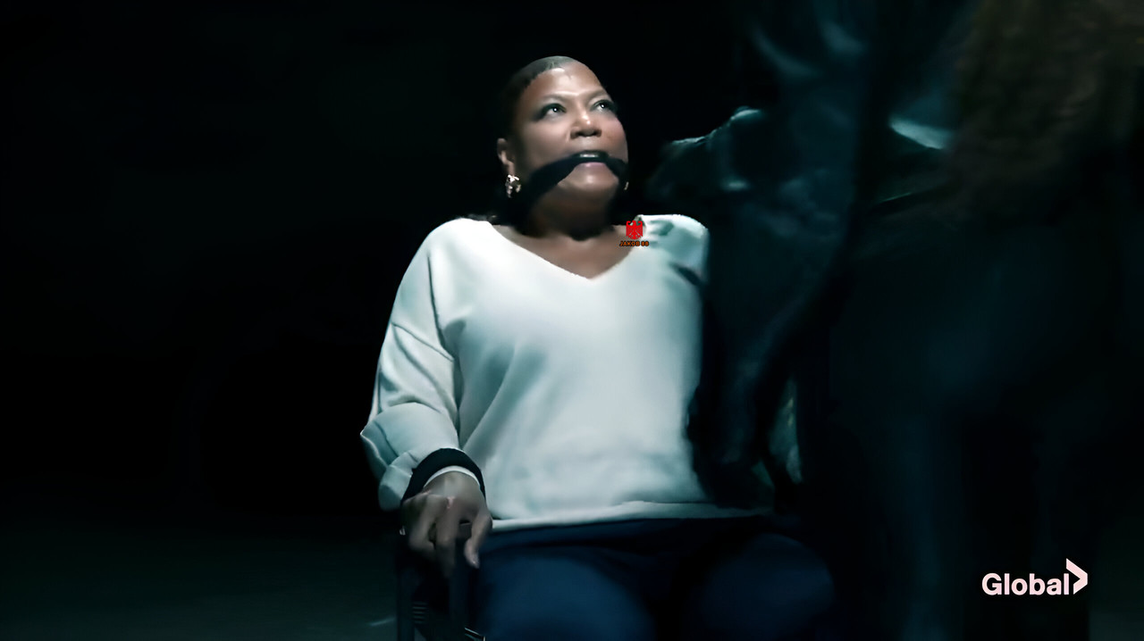 Queen Latifah 5 - The Equalizer S05EP1