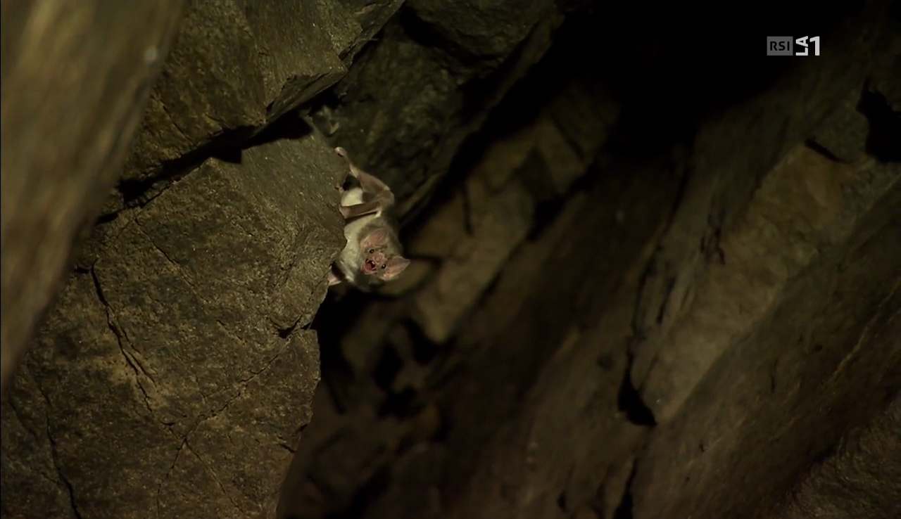 vlcsnap-2017-04-07-14h23m13s712