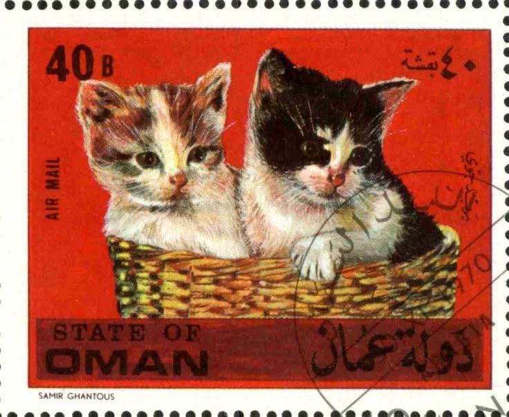 omani basket