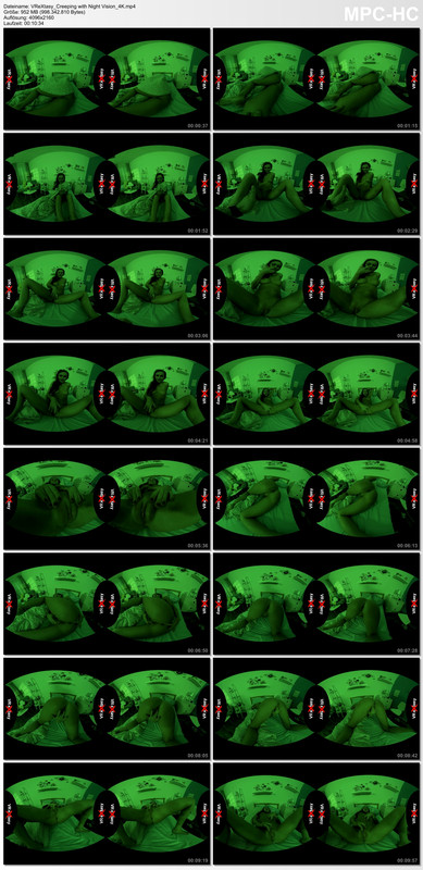 VReXtasy_Creeping with Night Vision_4K.mp4_thumbs_[2020.03.23_20