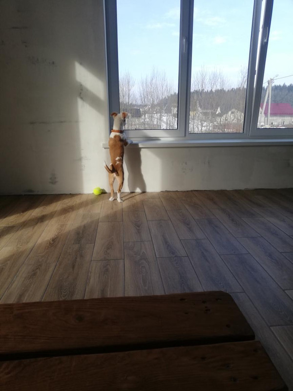 D2704E08-A224-4C42-9650-20689F66A04C