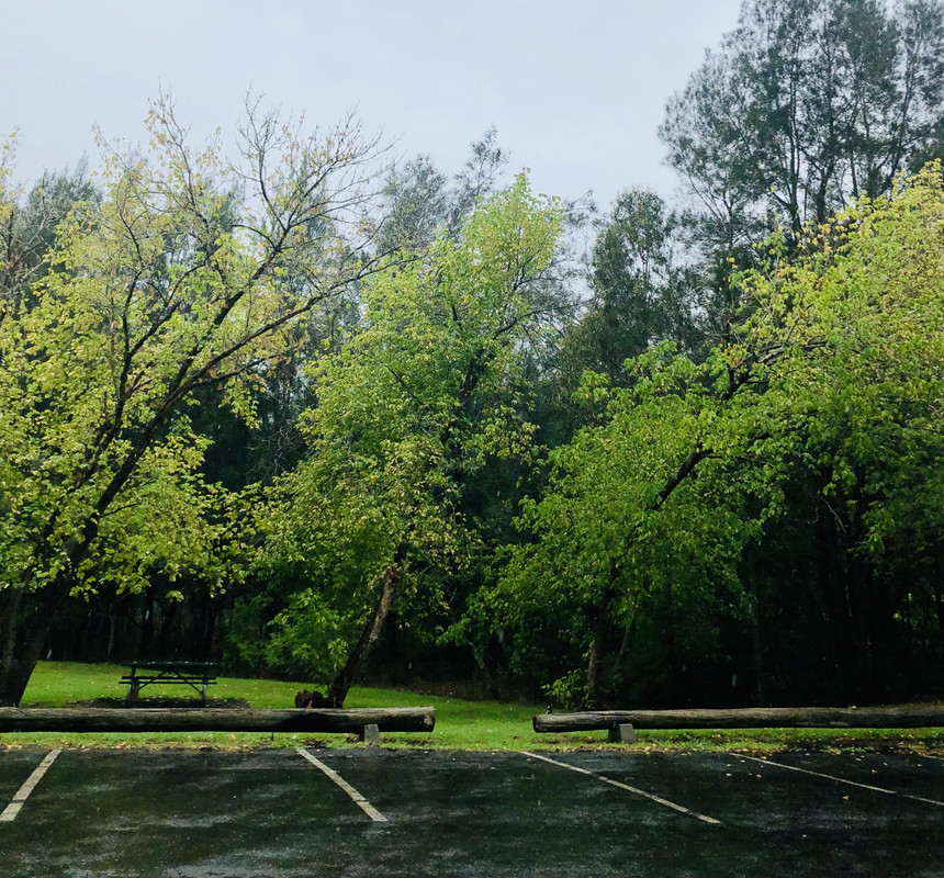 3-E5-AB08-A-953-B-4-EED-BFB8-D08-F94-E13