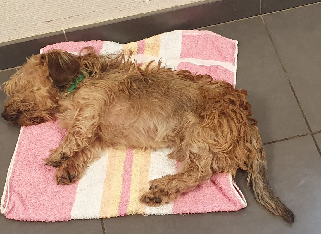 [Image: 20230509-110621.jpg]