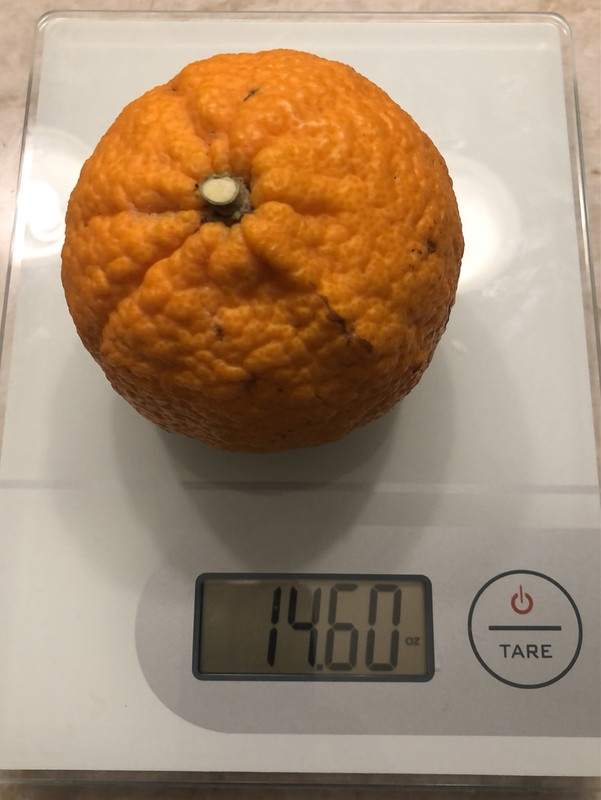 04D703FC-272D-4759-A8E9-B1CC7BA04710_1_105_c