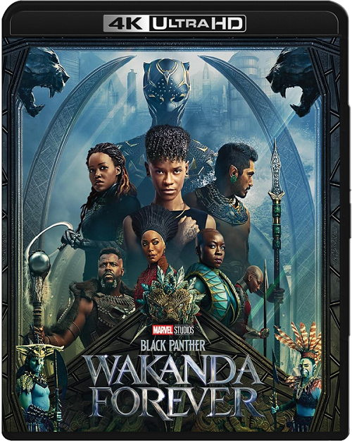 Czarna Pantera: Wakanda w moim sercu / Black Panther: Wakanda Forever (2022) HYBRID.MULTi.REMUX.2160p.UHD.Blu-ray.DV.HDR.HEVC.ATMOS7.1-DENDA / DUBBING