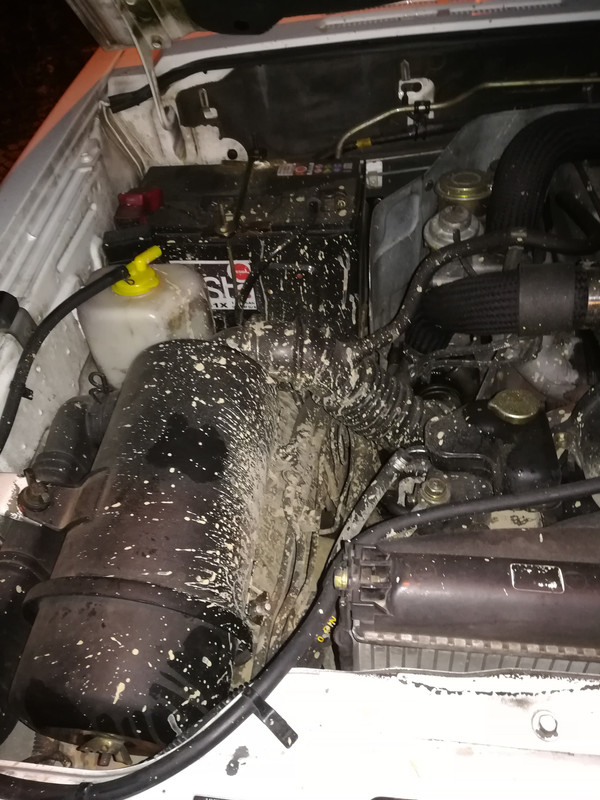 IMG-20181209-001716.jpg