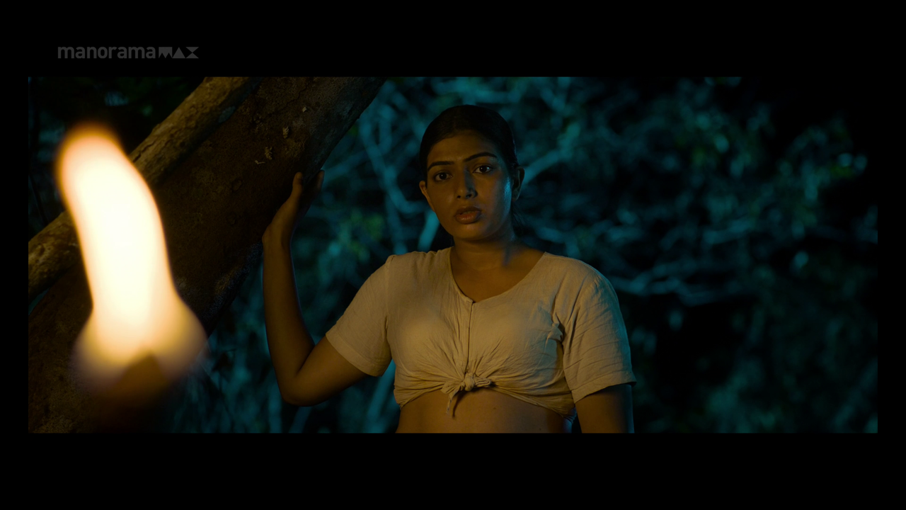 vlcsnap 2026 02 02 13h51m52s915