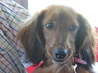 [Image: MARSEILLE-21-JUILLET-FILOU-ET-PRUNE-006.jpg]