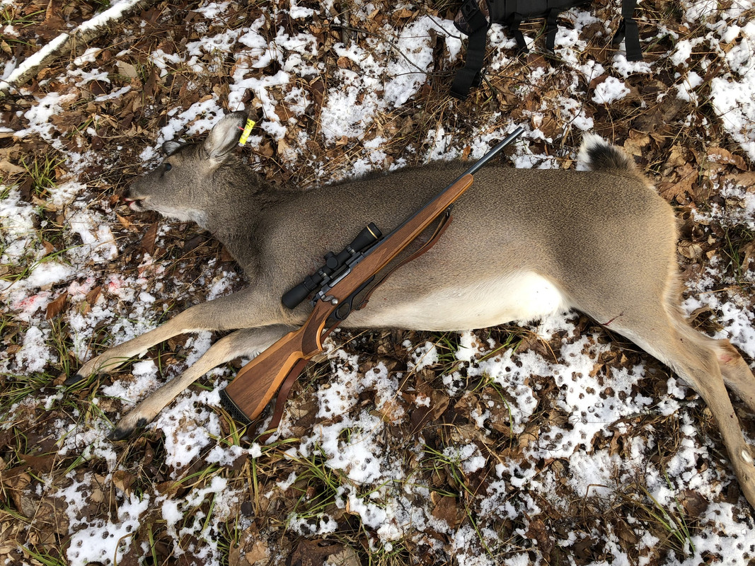 A688501E-A0FC-41AB-9112-6A9430518296