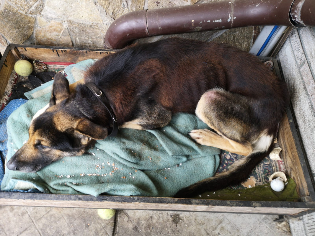 WhatsApp Image 2021-02-17 at 14.32.36 (2)