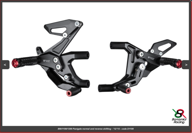 Bonamici racing Panigale(s)