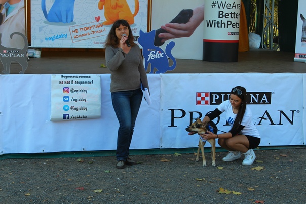 3E117EFA-EF9D-46C2-83C2-D12E63CD3E94