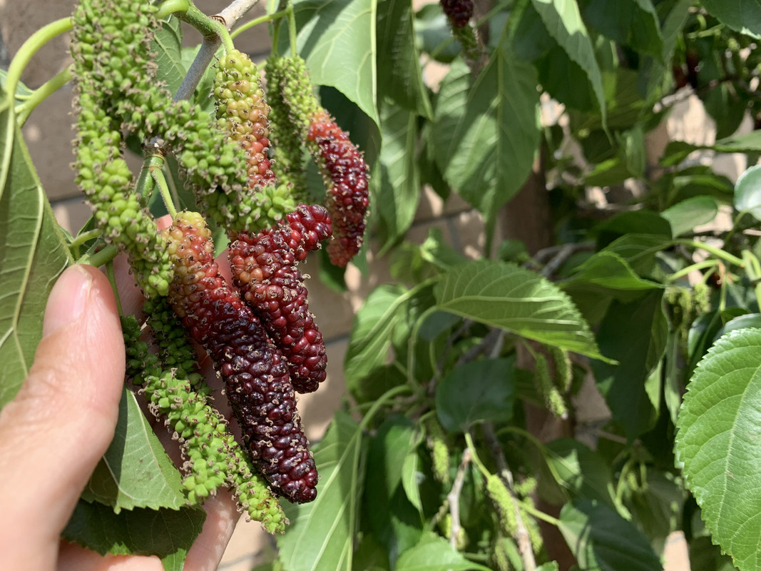 FFEDE726-0113-4AAA-9B86-F5961EC3F211