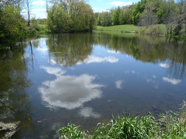 P5125542
