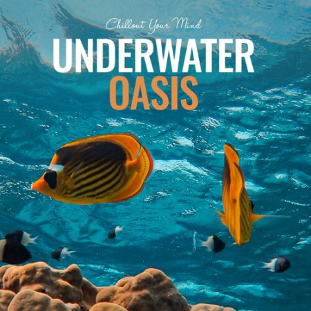 c89d35cc 69fe 4a06 b739 f723b979006e - VA - Underwater Oasis: Chillout Your Mind (2022)