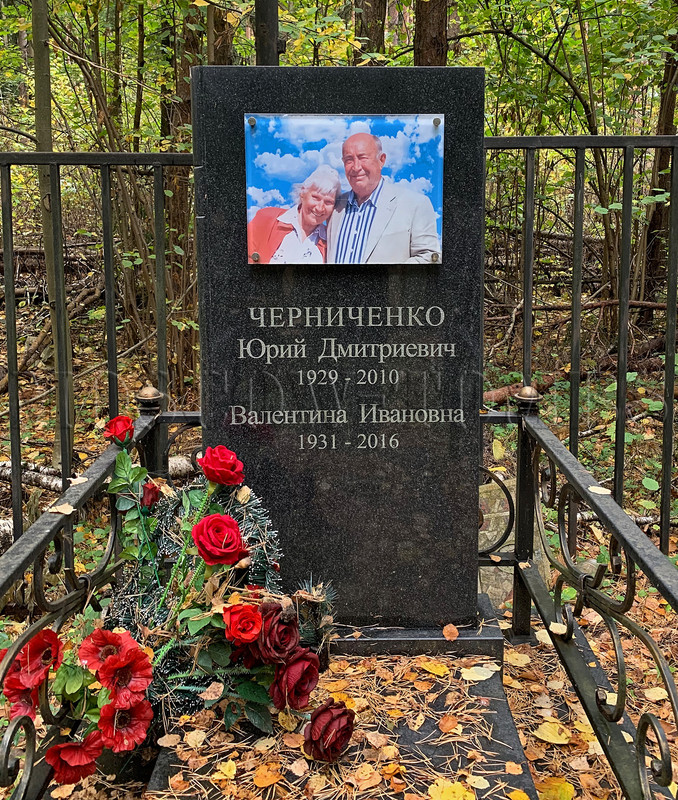 chernichenko-yd
