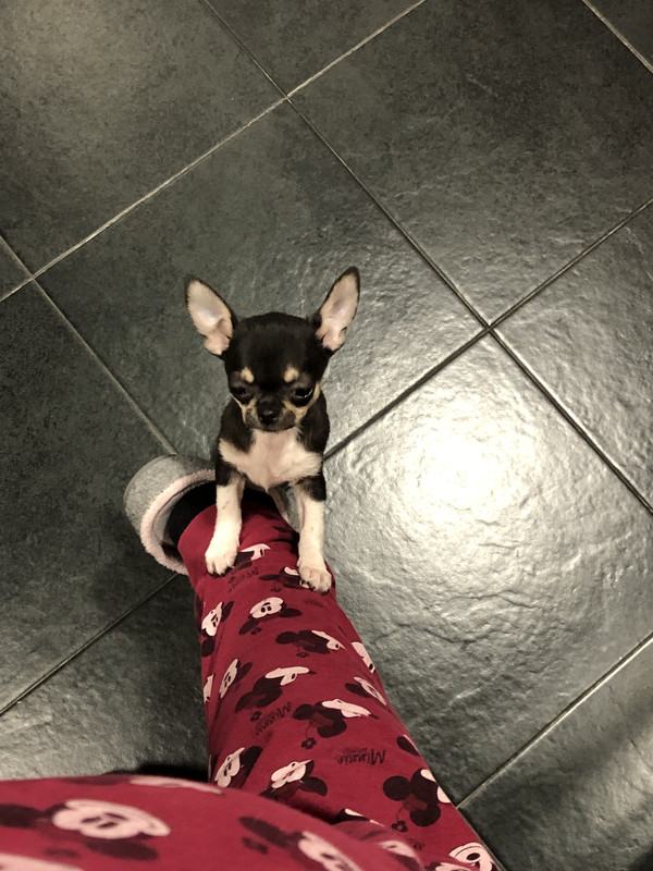 A4667AF7-3971-44EF-872F-ADB94E6679A1