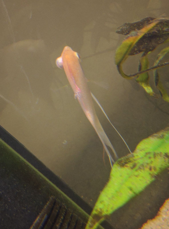 WhatsApp Image 2017-02-19 at 14.28.52 (1)