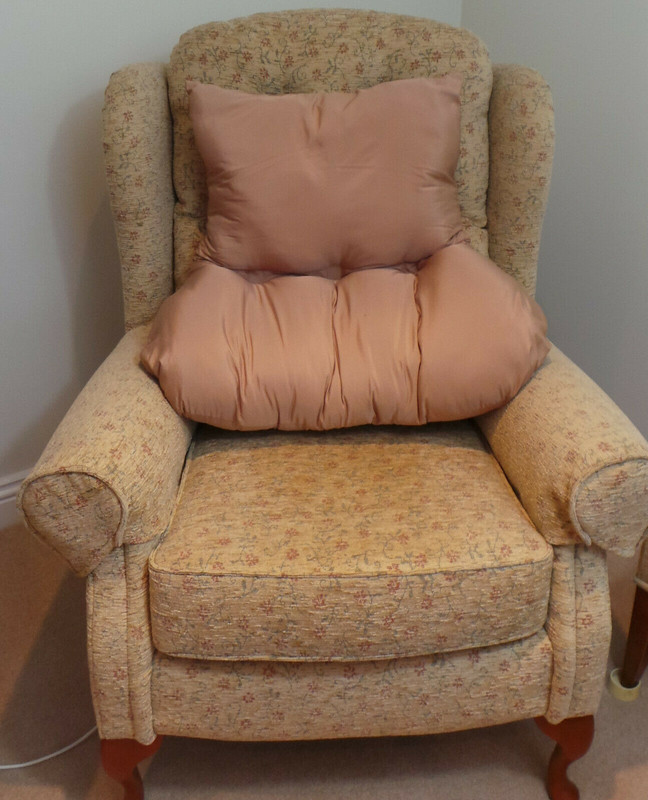 Armchair Backrest , Orthopedically T Shaped Back Support Cushion eBay